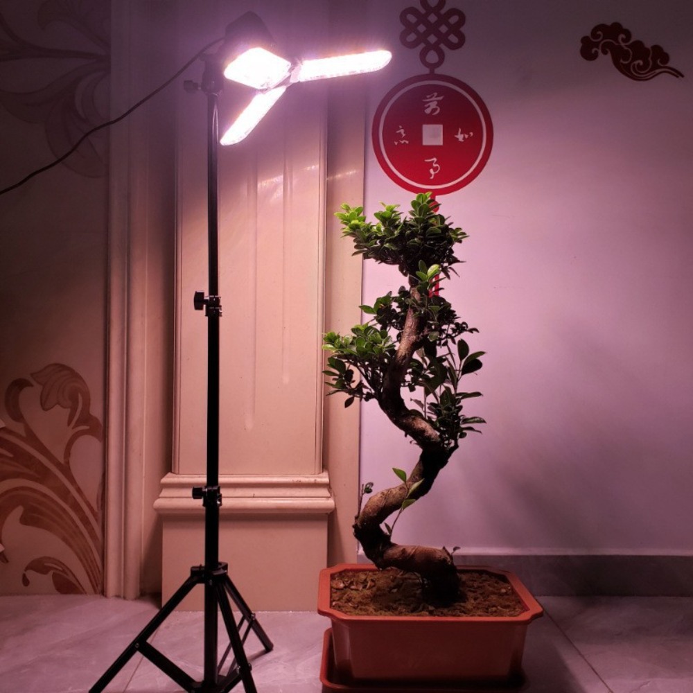 Gloeilampstandaard 2M, E27 AC- - Photography Umbrella recensie en prijs